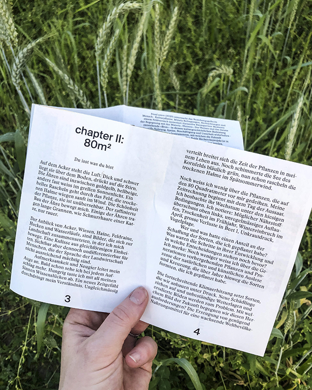 Alexandra Baumgartner "bread eaters chapter 1" 2021: cake session #2, Broschüre