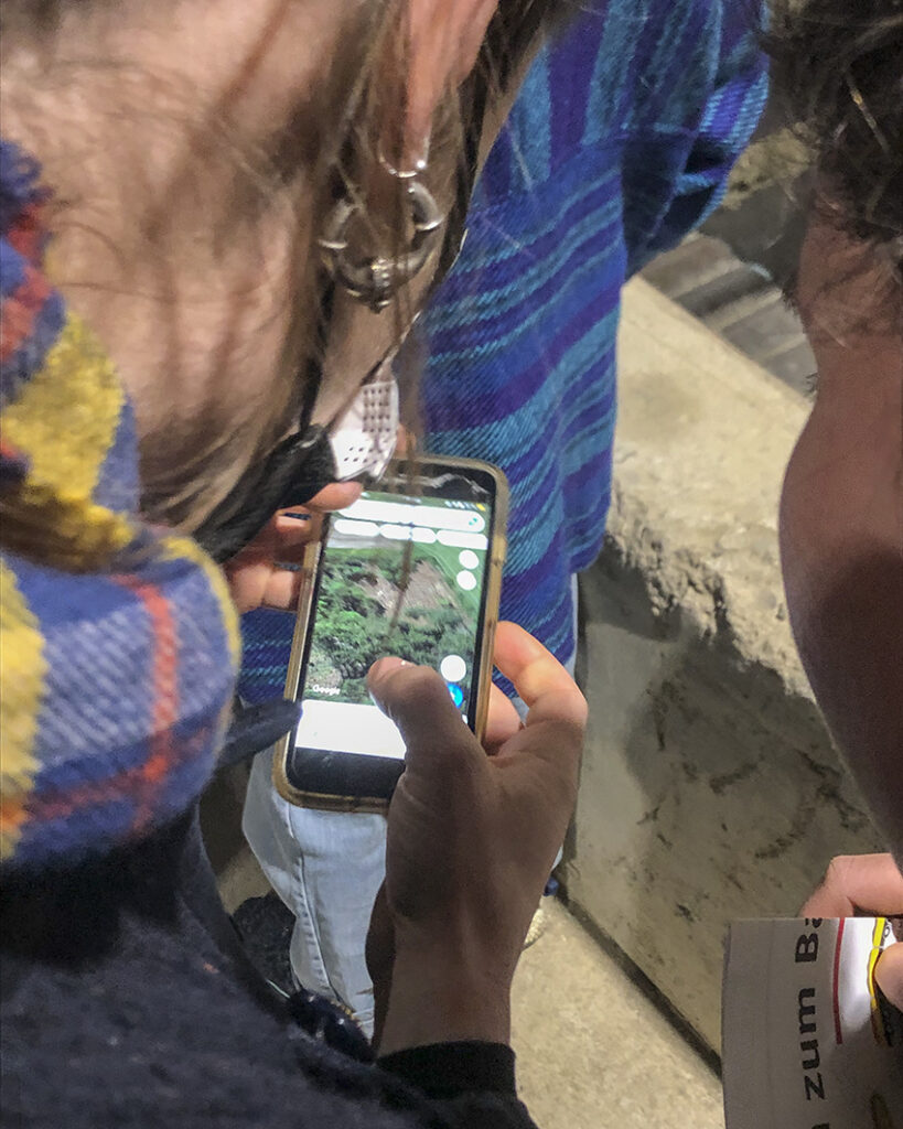 cake session#6 Andrea Fortmann