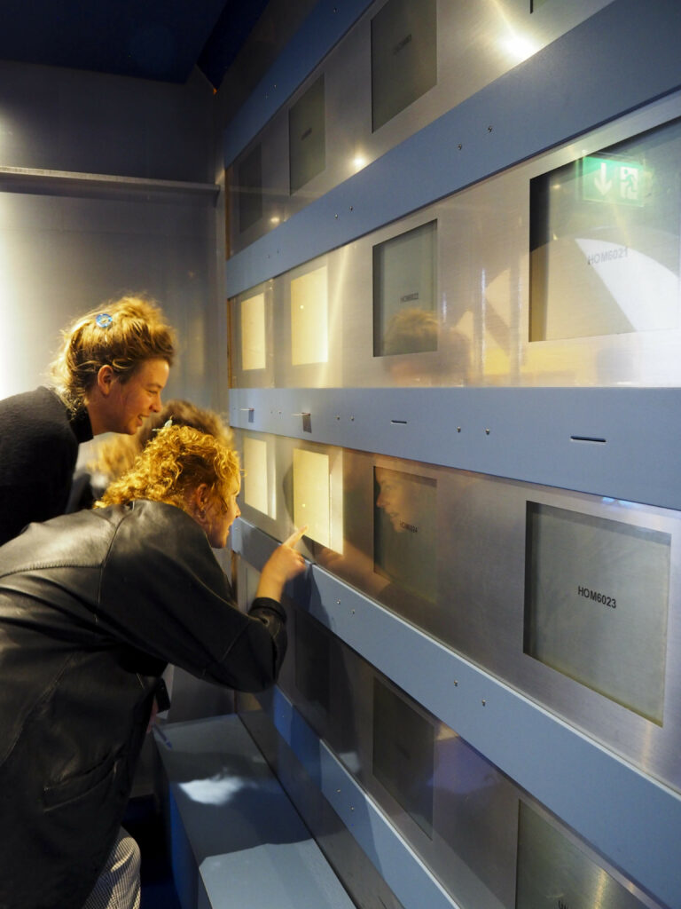 Lourenço Soares "The Naturalist's Doubt (knowledge & furniture), 2021, cake session #4