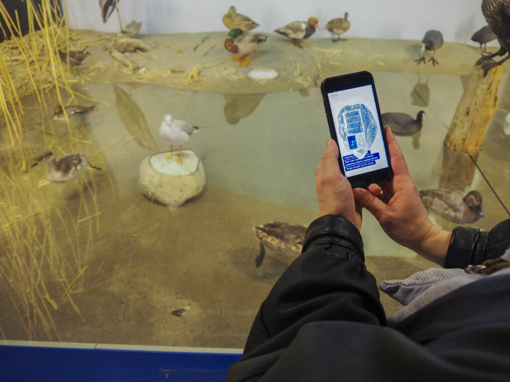 Lourenço Soares "The Naturalist's Doubt (knowledge & furniture), 2021, cake session #4