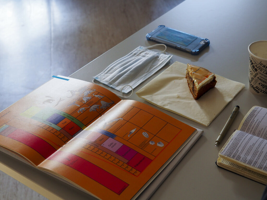 Lourenço Soares "The Naturalist's Doubt (knowledge & furniture), 2021, cake session #4