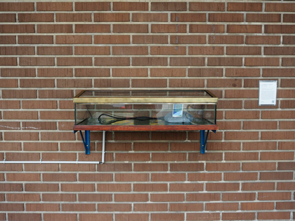 Lourenço Soares "The Naturalist's Doubt (knowledge & furniture), 2021: Ausstellungsansicht