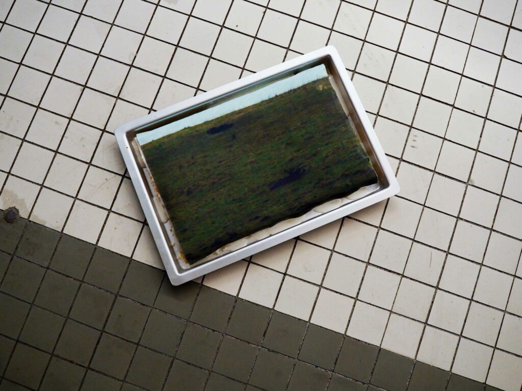 we're two, failing in trying to become one 2022 cake session keinraum