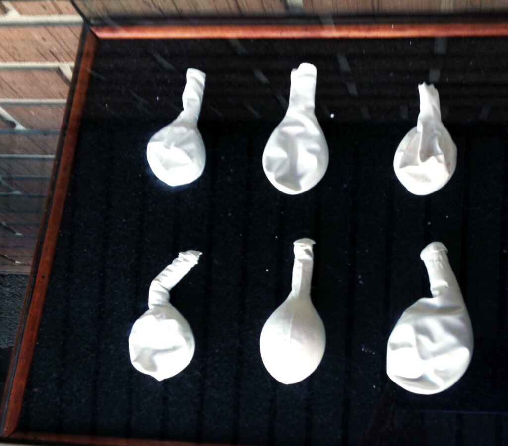 Vernissage keinraum vitrinen 2016 Eveline Brun