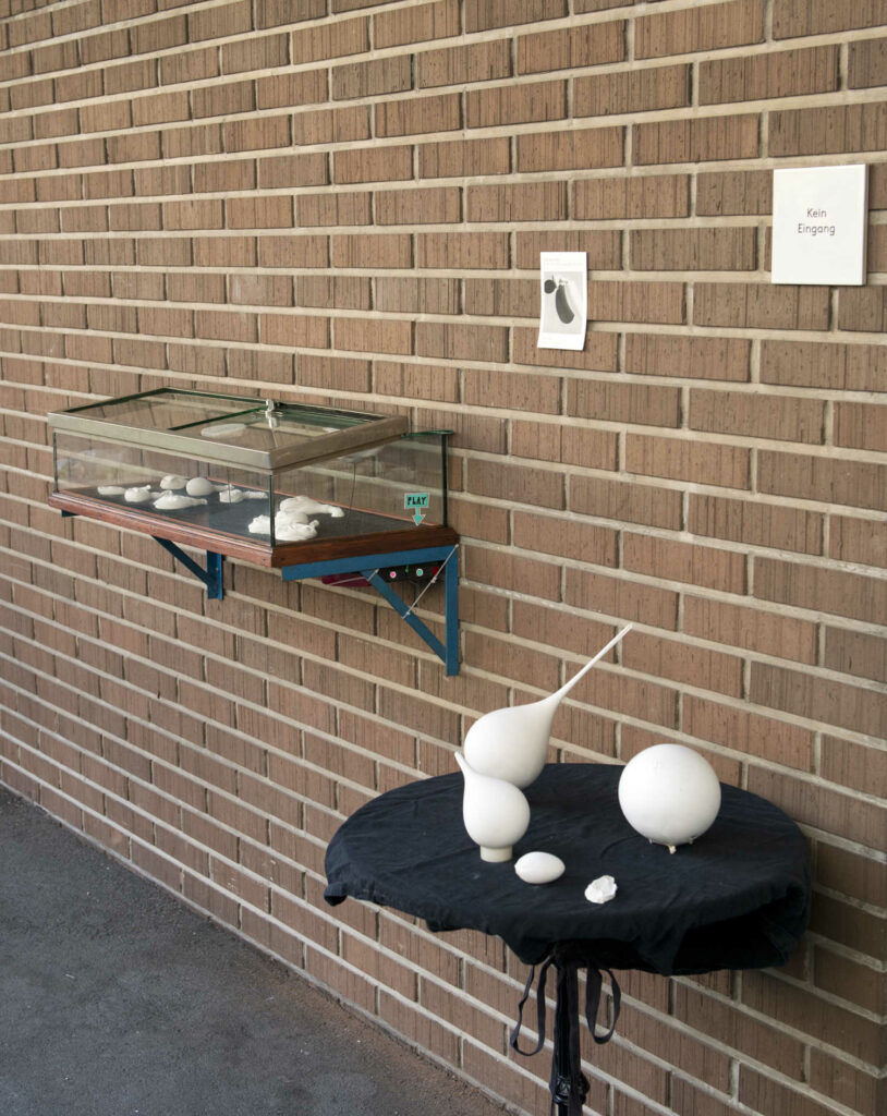 evelineblum-keinraum-2016-vitrine