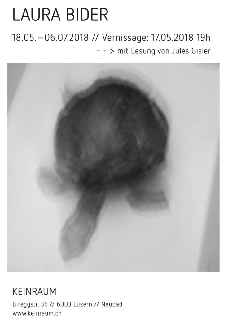 Laura_Bider_Keinraum_2018_
