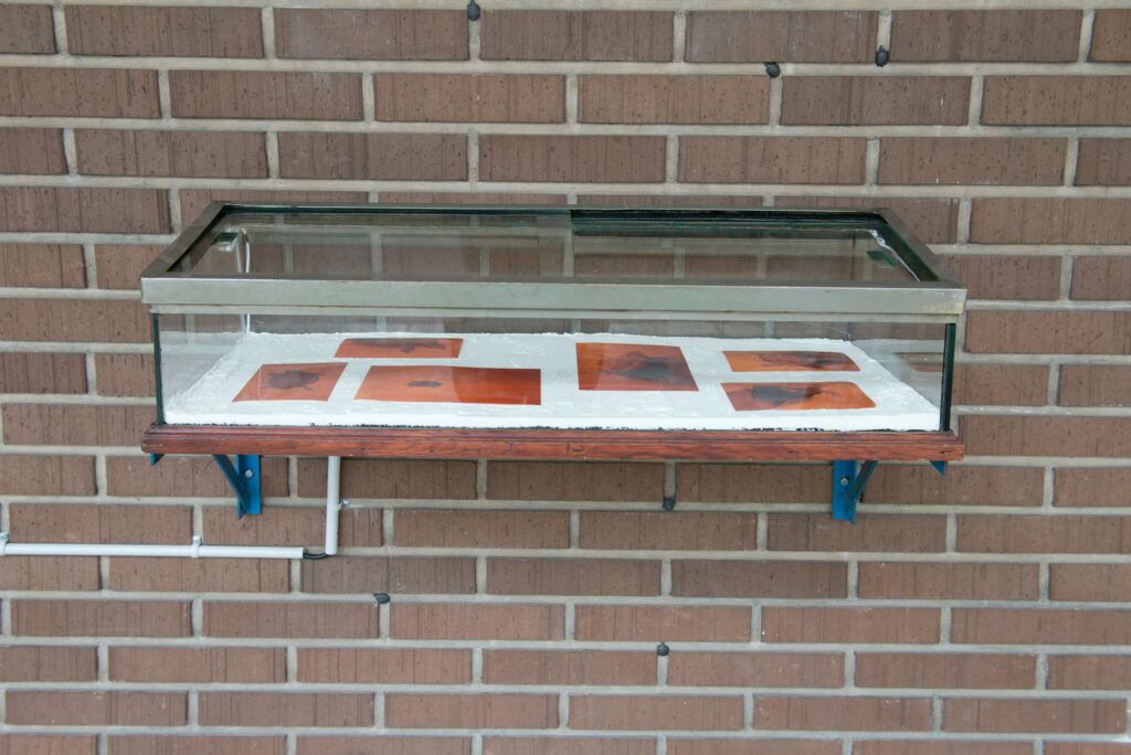 Laura_Bider_Keinraum_2018