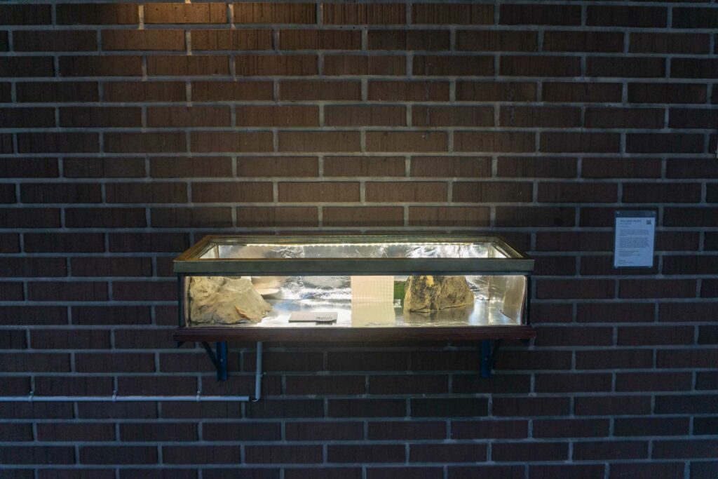 Feld und Karte Keinraum 2021 Look it sprouts Melanie Menzi