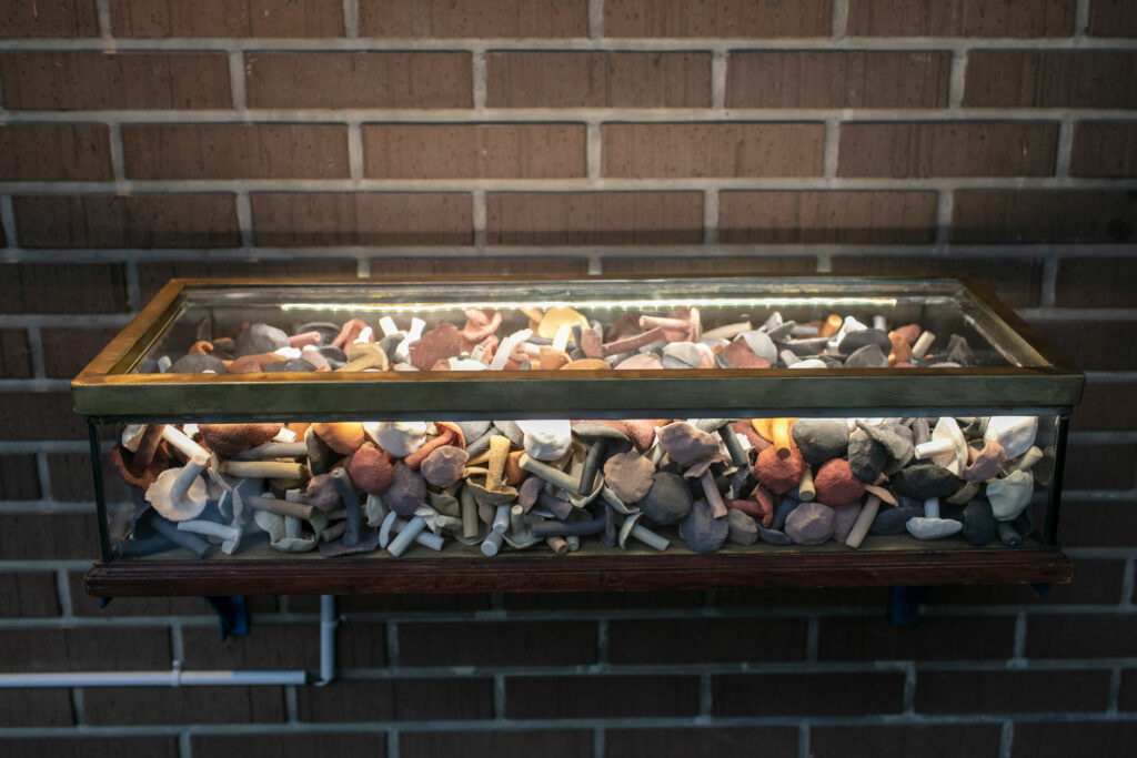 Ausstellungsvitrine KEINRAUM mit der Arbeit von Ishita Chakraborty: Keramikpilze füllen den KEINRAUM bis oben