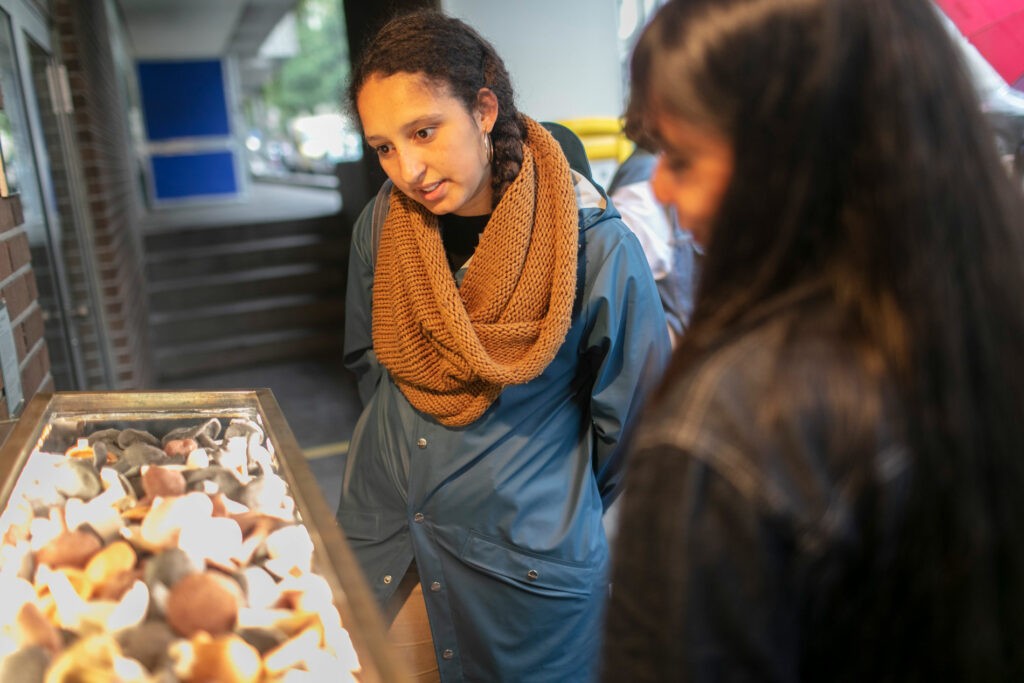 Zwei Menschen schauen die Pilze im Keinraum an