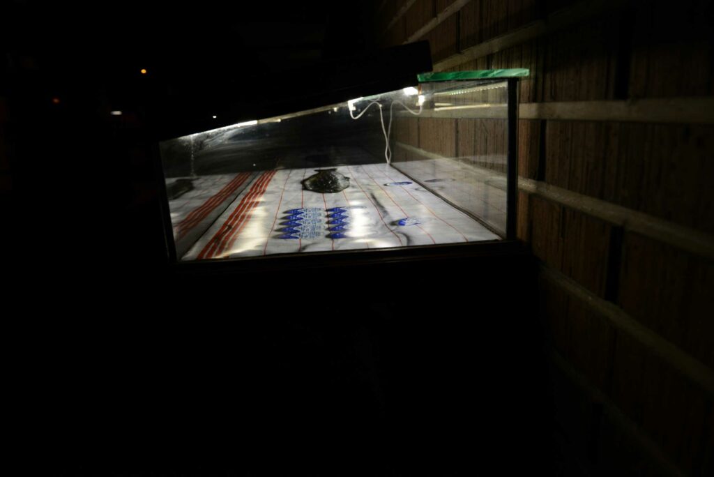 keinraum_Lotta-Gadola_2017_2