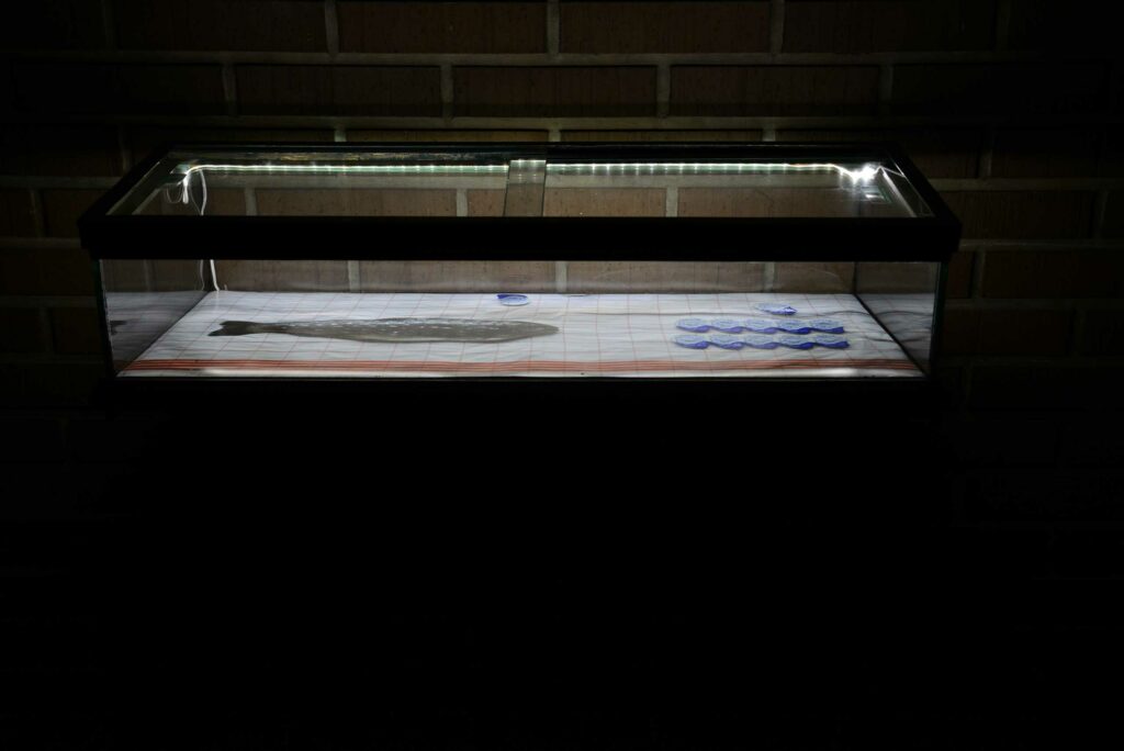 keinraum_Lotta-Gadola_2017_2