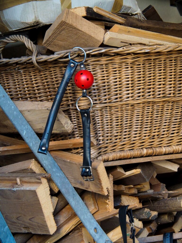 keinraum_stellabohn_cakesession_2022